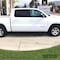 Westin Automotive 19-C RAM 1500 QUAD CAB PRO TRAXX 4 OVAL NERF STEP BARS BLACK 21-24095 - alternate 9